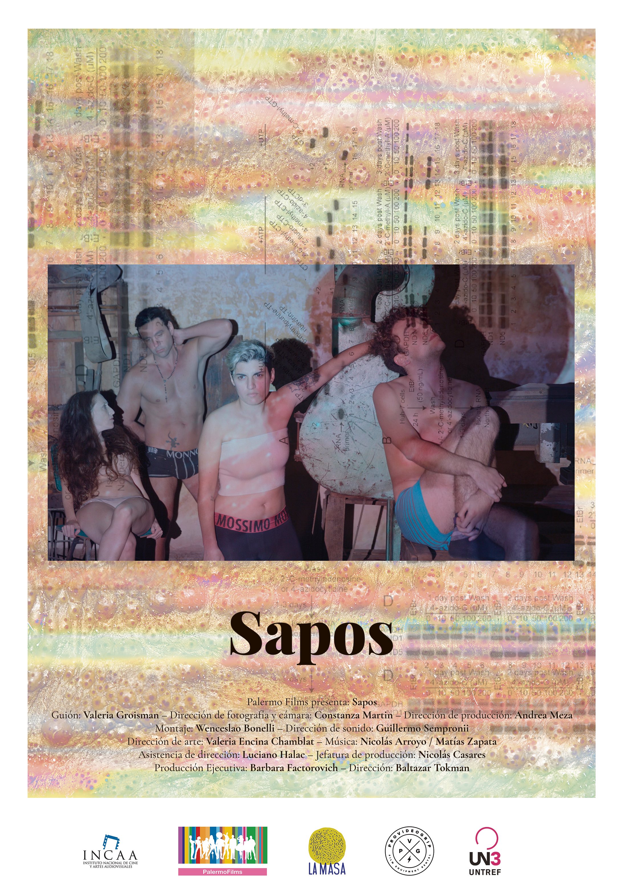 Pelicula